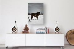 Horse in Winter ~ 12×16 Ready to Hang CANVAS WRAP PRINT ~ WALL ART
