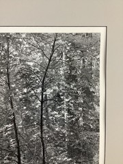 Bob Werling Signed #3 Lake Tahoe Black & White Framed Decorative Edition Print