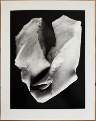 Fritz Brill, Flint Head, Photograph from Estate, 2004