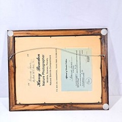 Harry Bowden «Boquillas Spring» Framed Photo & Matted Limited Edition Signed