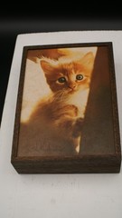 Vtg Gary Dodson Cats Kittens Small Print Photography Wall Art MCM