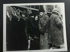 Omar Sharif Doctor Zhivago Geraldine Chaplin- 8×10″ Photo Print- Pre-2012 L1337H