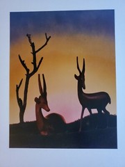 GAZELLES LARGE ORIGINAL SIGNED ART PHOTO COLOR STETTNER VTG MATTE NJ CAMERA