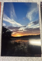 105 Nature Art Photographs 6×4” & 5.25 x4” Vibrant Colorful & 4 Post Cards