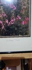 Michael Stipek Signed Photo Print “cosmos” Art Photograph 16×20″ Matted Frame