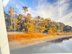 Jeff Ripple 2005 Signed Photograph of Tomoka River Florida Landscape 30 x 25
