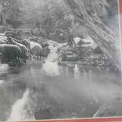 The Lord is my Shepherd G E Matson Matted Framed Photograph 1910 15.75″ x 12.75″
