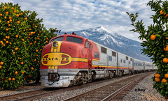 Photo Art Print of a Santa Fe Streamliner entering Southern California in 1941