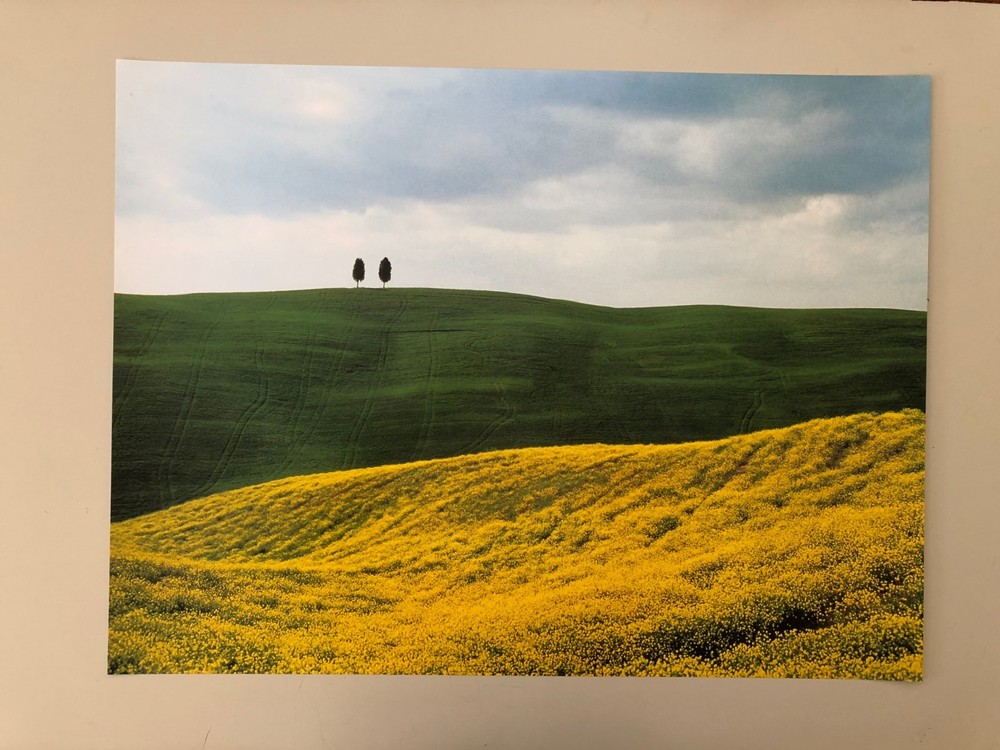 SNOWDON/HOYER ,’TOSCANY,ITALY,2001′ RARE AUTHENTIC ART PRINT
