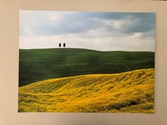 SNOWDON/HOYER ,’TOSCANY,ITALY,2001′ RARE AUTHENTIC ART PRINT