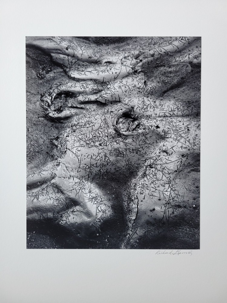 Richard Garrod, silver gelatin, black and white photography, Mud Cracks, Desert