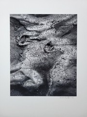 Richard Garrod, silver gelatin, black and white photography, Mud Cracks, Desert