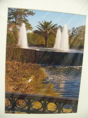 MATTED PHOTOGRAPHY Crane in Grass by Water Waterfall Fountain 16×20 L Santucci