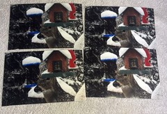 105 Nature Art Photographs 6×4” & 5.25 x4” Vibrant Colorful & 4 Post Cards