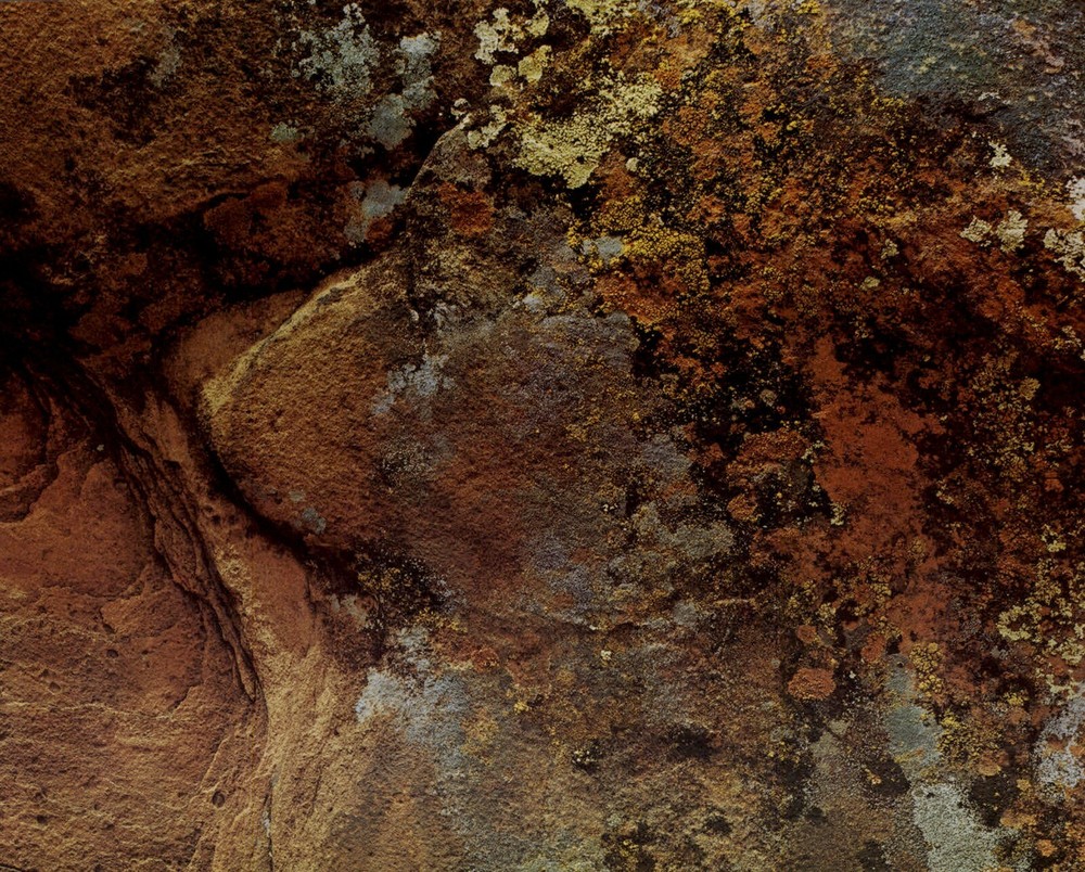 1962 Eliot Porter Glen Canyon Sandstone with Lichen Detail Art Photo Gravure