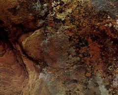 1962 Eliot Porter Glen Canyon Sandstone with Lichen Detail Art Photo Gravure
