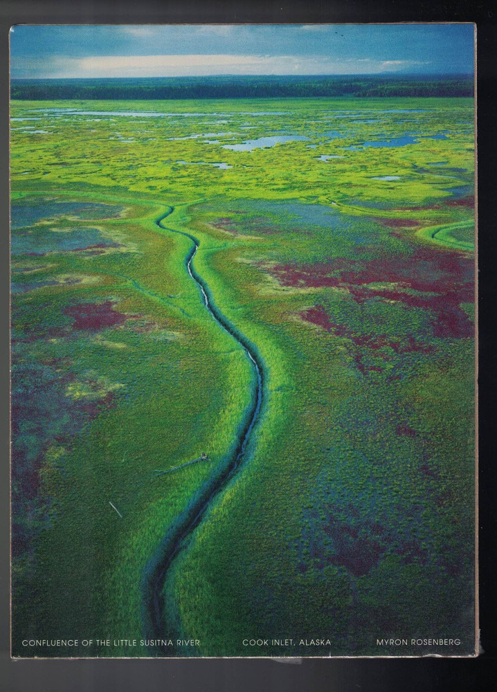 Myron Rosenberg Photography Photo Print: LITTLE SUSITNA RIVER Mini Poster 9.5×7
