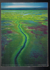 Myron Rosenberg Photography Photo Print: LITTLE SUSITNA RIVER Mini Poster 9.5×7