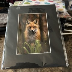 SIGNED 5X7 MATTED RED FOX IN THE FOREST WILDLIFE PHOTO