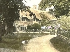 Large Rare Wallace Nutting w/Dog «Patti’s Favorite Walk» Hand Colored Photo