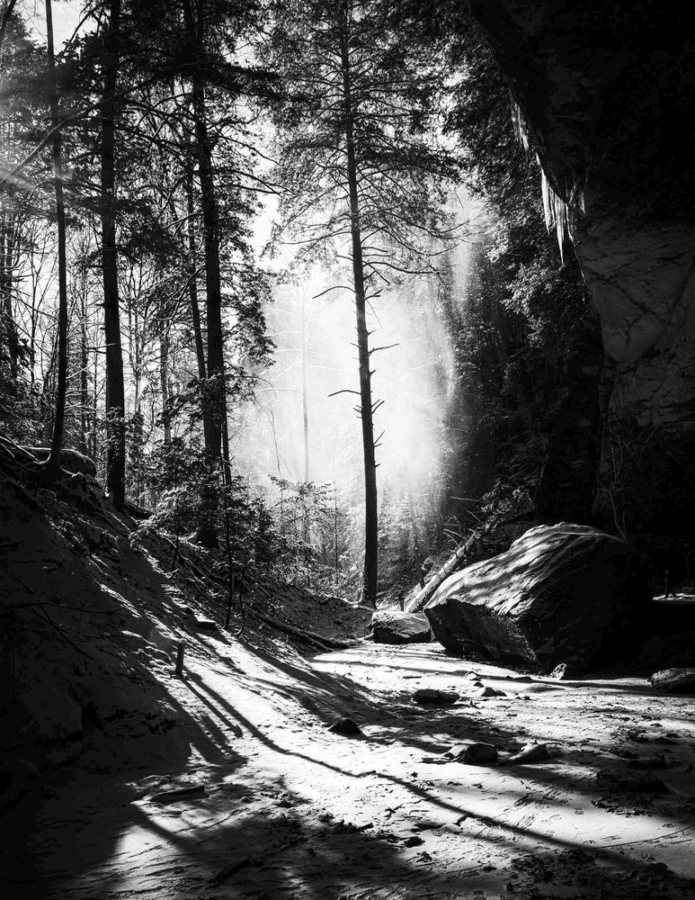 LANDSCAPE 8.5×11 or 13X19 B&W BORDERLESS GLOSSY PRINT (FREE SHIPPING)