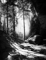 LANDSCAPE 8.5×11 or 13X19 B&W BORDERLESS GLOSSY PRINT (FREE SHIPPING)