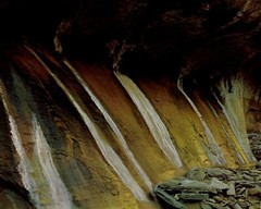 1962 Eliot Porter Glen Canyon White Water Seeps 7 Mile Canyon Art Photo Gravure