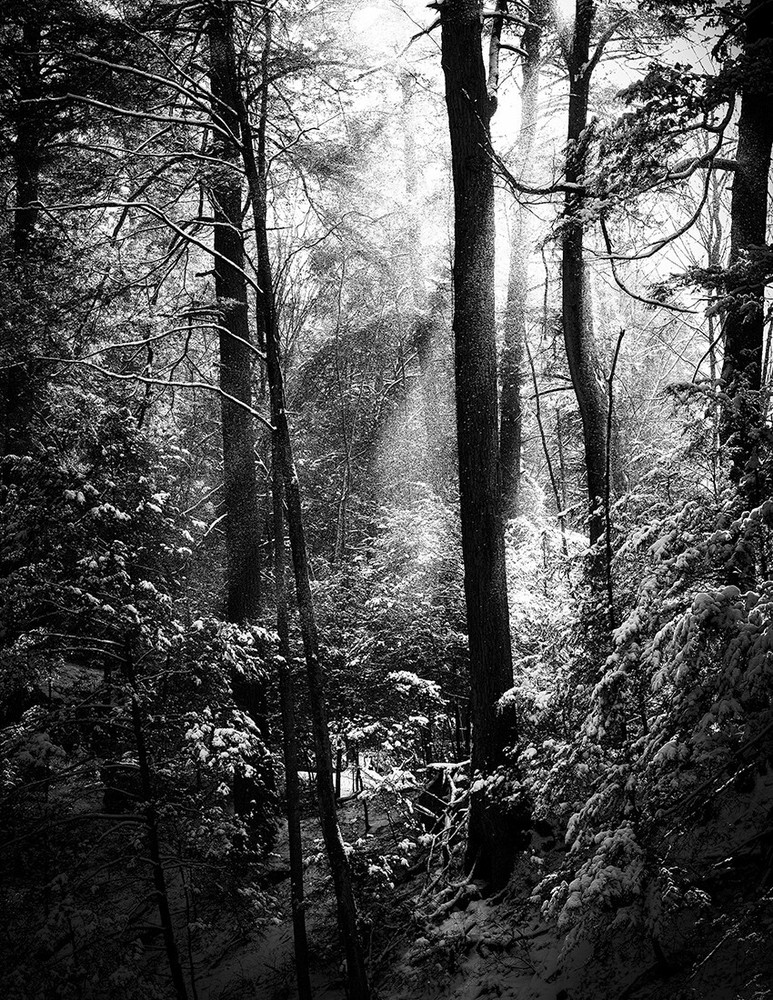 LANDSCAPES 8.5×11 or 13X19 BORDERLESS GLOSSY PRINT (FREE SHIPPING)