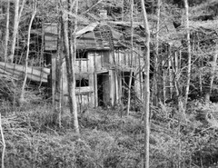 LANDSCAPE 8.5×11 or 13X19 B&W BORDERLESS GLOSSY PRINT (FREE SHIPPING)