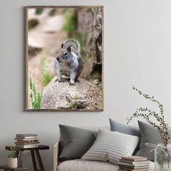 Cute Squirrel Close Up Photo Wall Print, Wildlife Nature Photography Yosemite NP