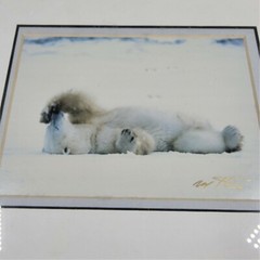 Signed Limited Edition Polar Bear Laying on Back Playful Shy Hiding Artist