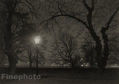 1950/78 JOSEF SUDEK Vintage Czech Photo Gravure KAMPA ISLAND NIGHT LANDSCAPE Art