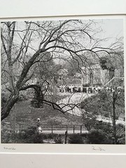 BRUCE BLUM Matted & SIGNED B&W Photo Print (10″X10″)- National Zoo»