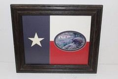 Dan Richards Photo Framed Art Texas Flag Matte Armadillo Print 8×10 Signed