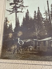 Superb Vintage Adirondack Photo House In The Pines