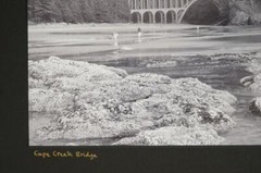 Tom Adams Nature Photography Cape Creek Bridge Oregon B&W Photo Art 11X14