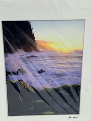 Kilahuea Hawaii Photography Art Photos 2 Scott Hanft Flowers Ocean 11 X 14 2000s