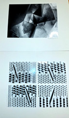 Vintage 1978 Fine Art Photos, Gelatin Silver Prints B+W 8×10 Signed, Mounted COA