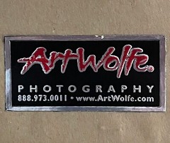 Art Wolfe Signed Wildlife Photograph Print/Framed 8×10 Bears