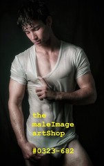 MALE PORTRAIT #0323-682- free shipping in usa