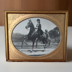 VTG Jay A. McClasky Fox Hunt Horse Saddlebred ~Copper Frame~Photograph /Signed