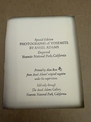 ANSEL ADAMS Dogwood Yosemite Special Edition Gelatin Silver Print Matted Only
