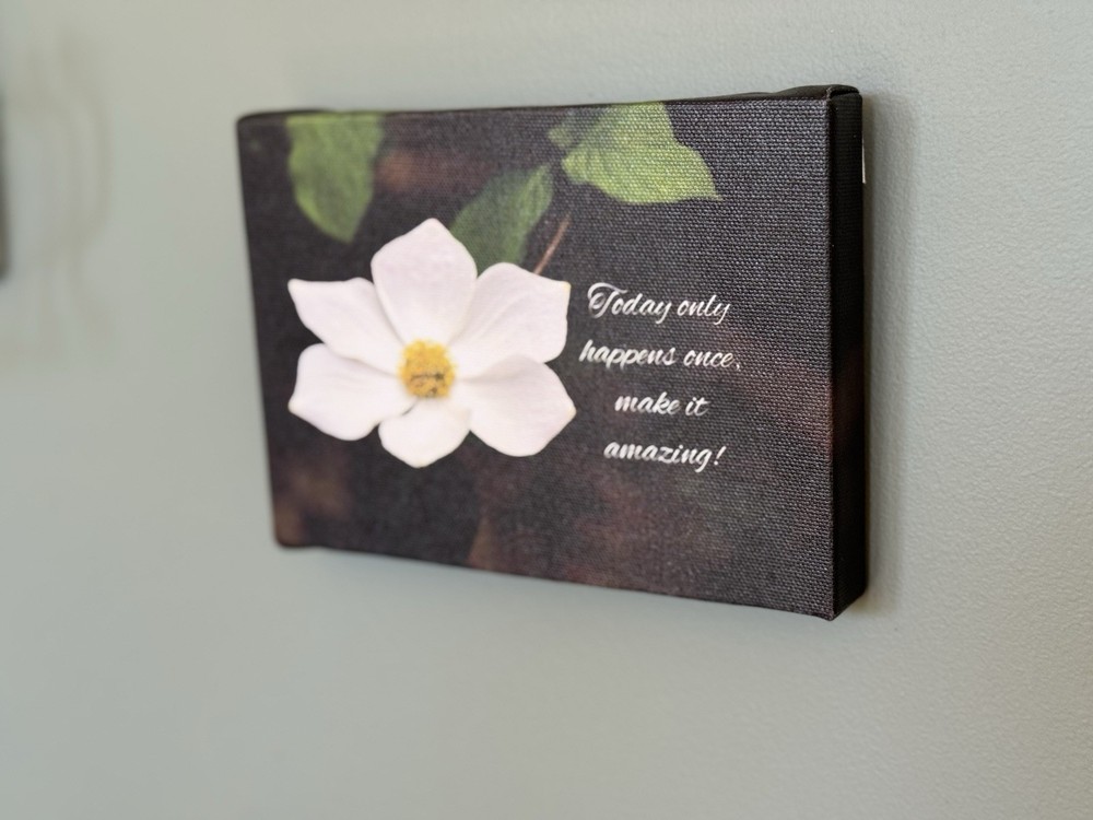 Beautiful Photo Of A Dogwood Blossom, Reminding Us To Be Present Photo On Canvas