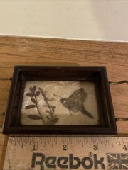Vintage Fred Thompson Oddities Miniature Tray Art Pressed Moth & Plant Stamped