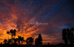 Sunset in Los Angeles Fine Art Print – unframed
