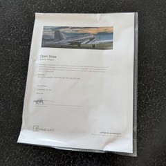 Peter Lik «Open Skies» Airplane Aviation HUGE 6.5 Feet (2M) Picture with LOA