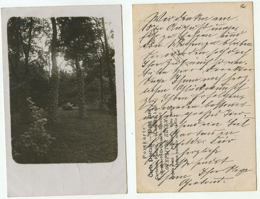 09500 – Garden in Lichterfelde – undated photo
