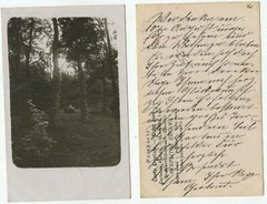 09500 – Garden in Lichterfelde – undated photo