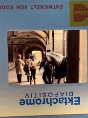 Lot Of 23 1983 Vienna Austria Spanish Riding School Amateur 35mm Color Slides