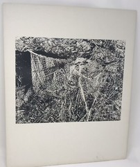 Vintage Matted Black & White Photography Nature 16” x 20” Pacific NW Photo Art